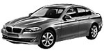 BMW F10 U257U Fault Code